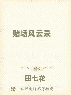 賭場風(fēng)云錄
