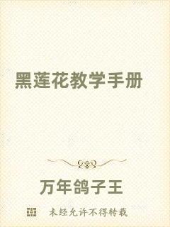 黑蓮花教學手冊