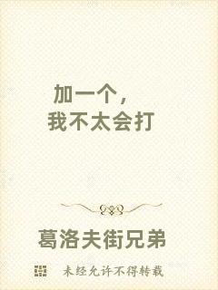 加一個(gè)，我不太會(huì)打