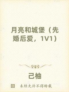 月亮和城堡（先婚后愛，1V1）