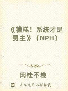 《糟糕！系統(tǒng)才是男主》（NPH）
